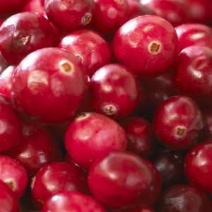 vaccinium pink lemonade.jpg ( Als)