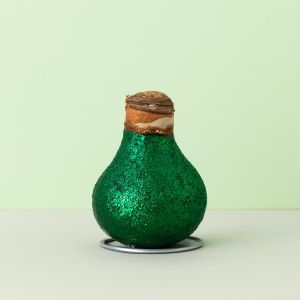 Amaryllis glitter Groen Studio Studio