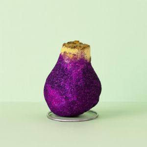 Amaryllis glitter paars Studio Studio