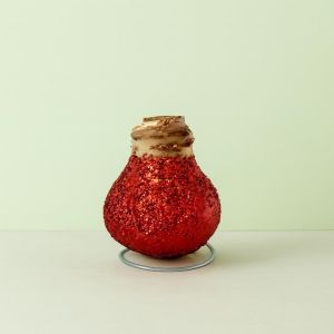 Amaryllis glitter Rood Studio Studio