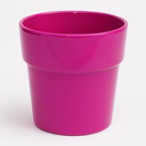 31.693 orch fuchsja.tif Studio