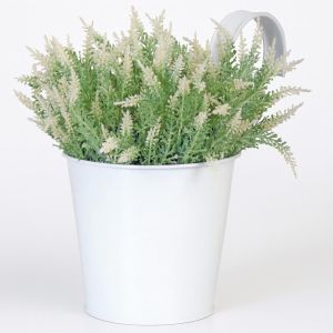 RD25.JPG Studio White